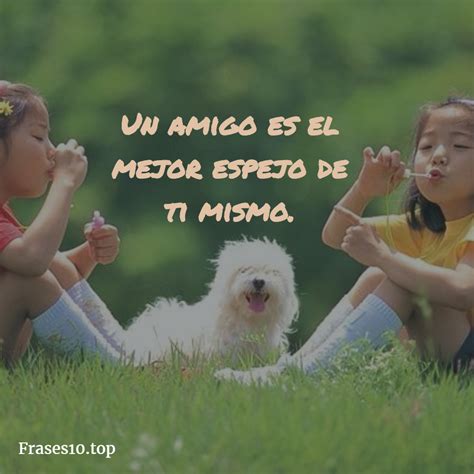 340 frases de amistad cortas y bonitas para dedicar